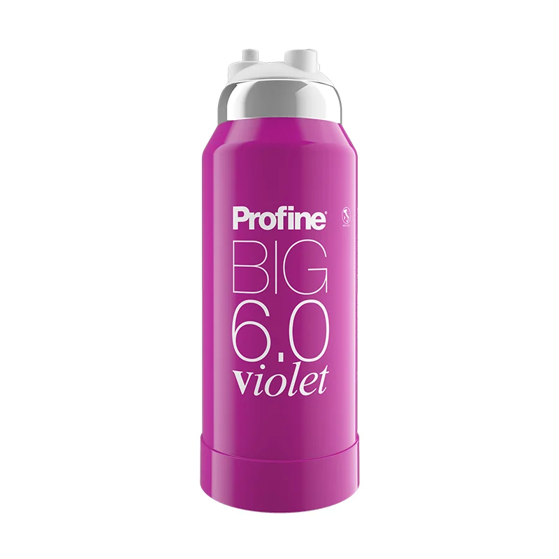 Φωτογραφία προϊόντος: Profine Violet Big-6.0 Επαγγελματικό Φίλτρο Αποσκλήρυνσης