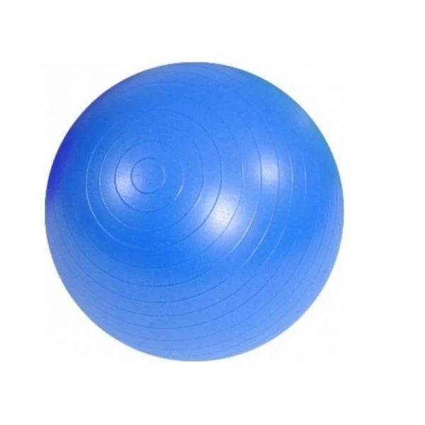 Φωτογραφία προϊόντος: OEM MDS 001 Μπάλα Pilates 65cm Μπλε