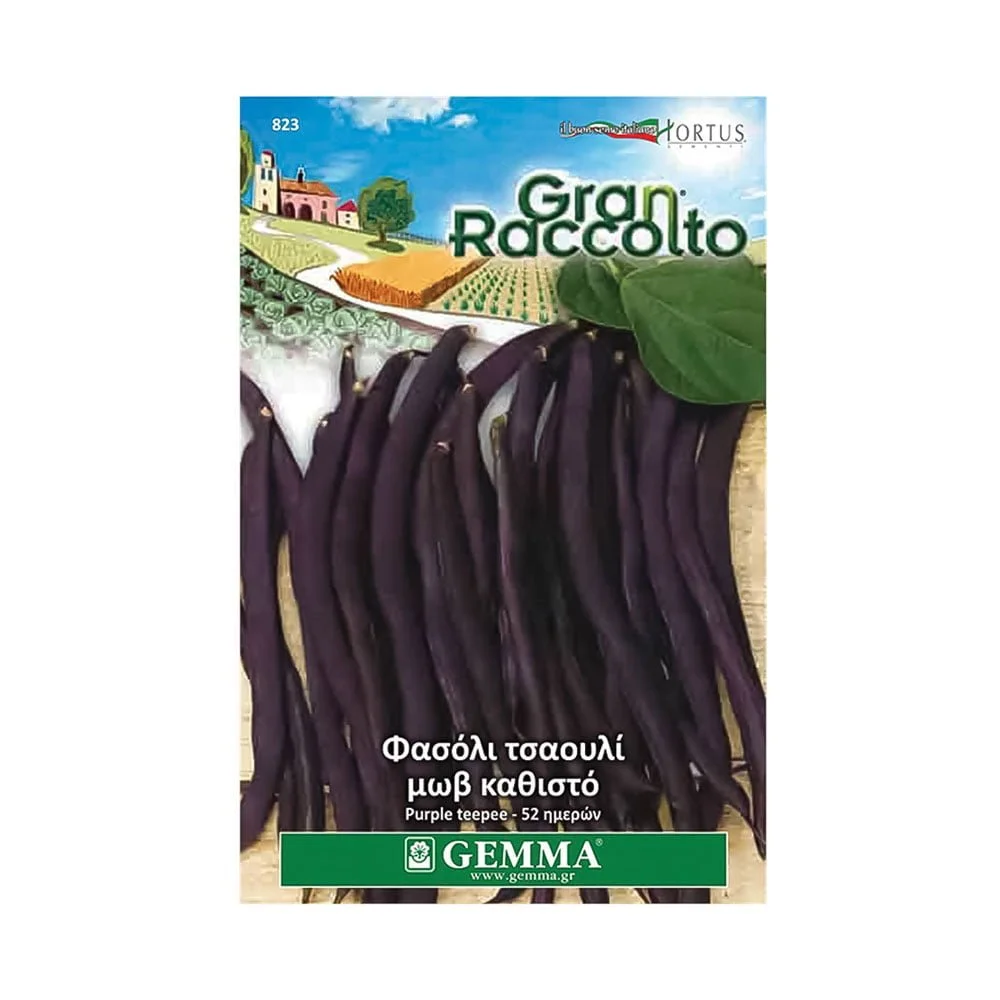 Φωτογραφία προϊόντος: Gemma Σπόρος Φασόλι Τσαουλί Μωβ Καθιστό - 823