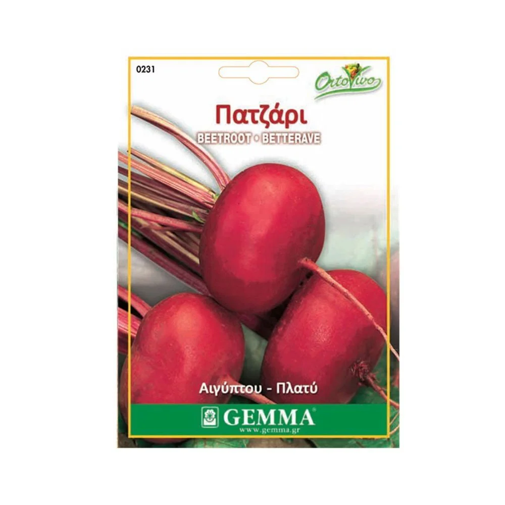 Φωτογραφία προϊόντος: Gemma 0231 Σπόρος Πατζάρι Αιγύπτου - 0231