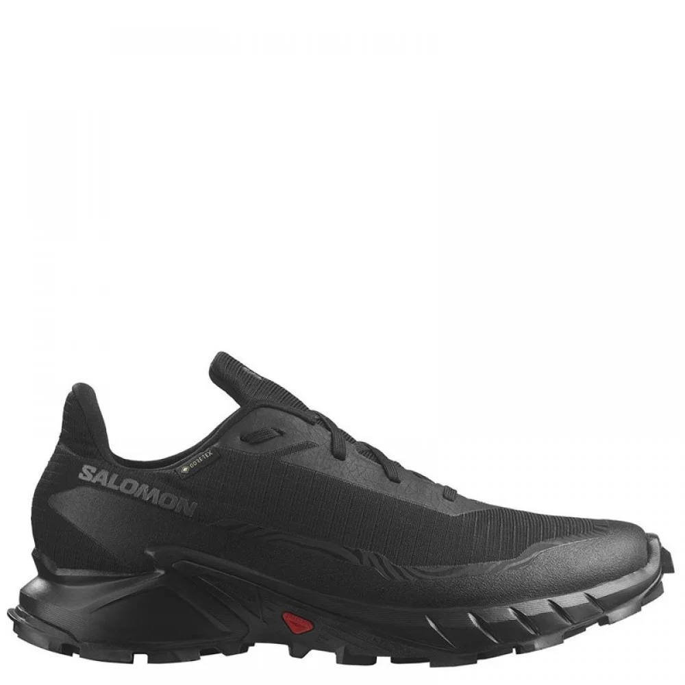 Φωτογραφία προϊόντος: Salomon Alphacross 5 GTX 473075 (6 ΑΤΟΚΕΣ ΔΟΣΕΙΣ)