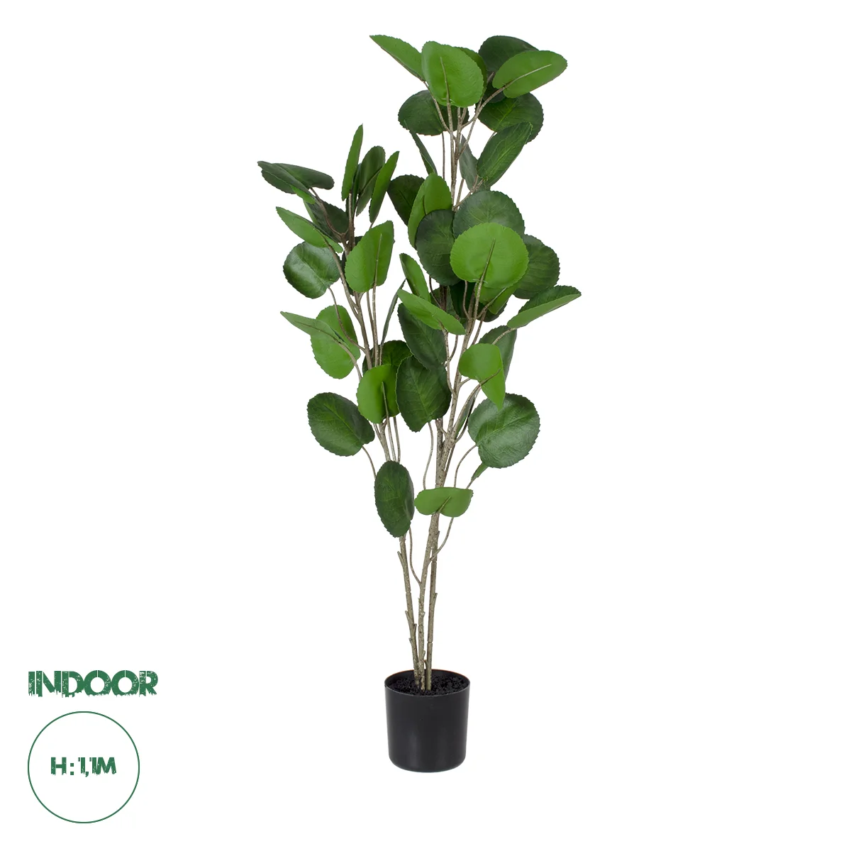 Φωτογραφία προϊόντος: GloboStar(R) Artificial Garden POLYSCIAS BALFOURIANA TREE 20374 Τεχνητό Διακοσμητικό Φυτό Πολυσκιά Υ110cm - - 20374