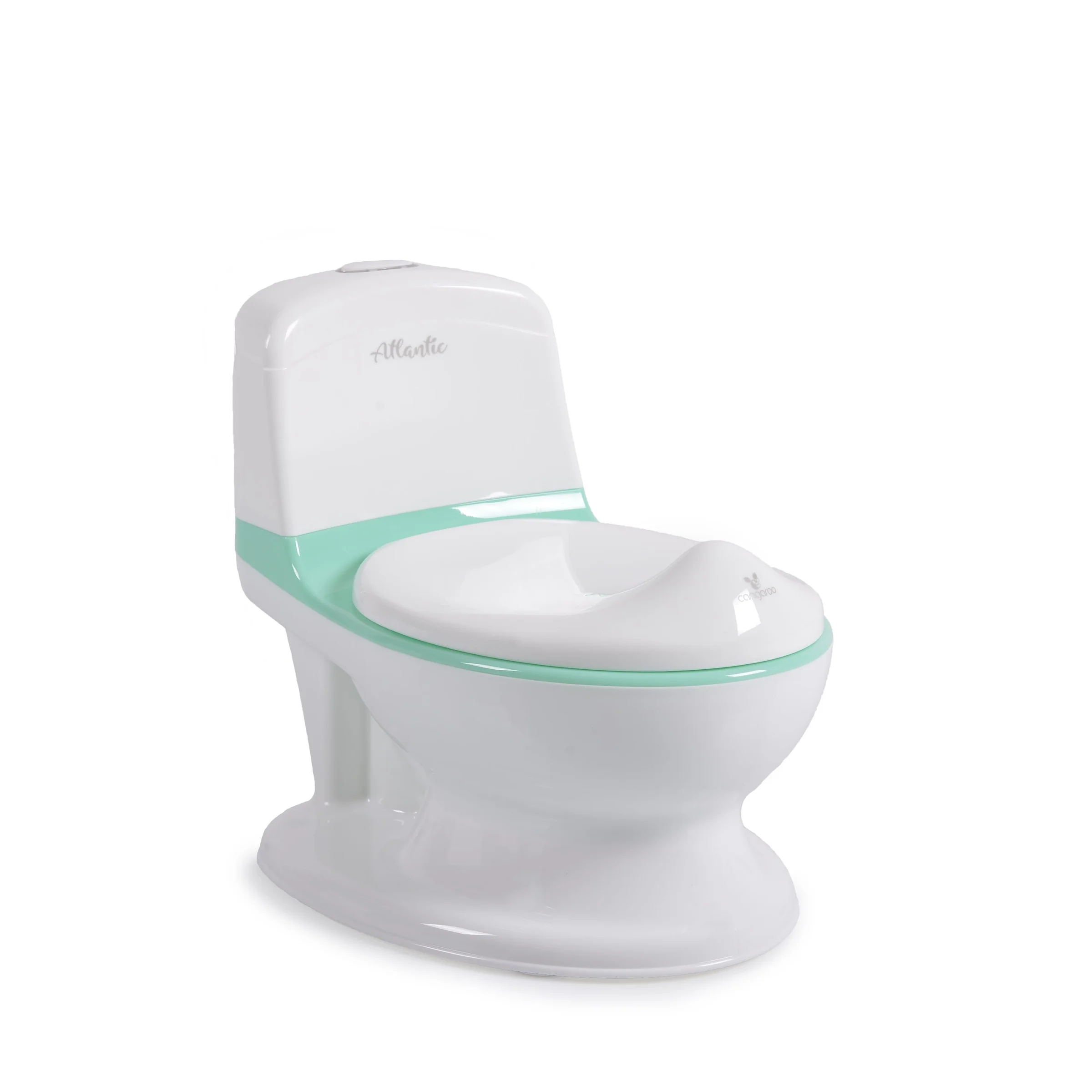 Φωτογραφία προϊόντος: CANGAROO - Educational potty Atlantic mint - 3800146267827
