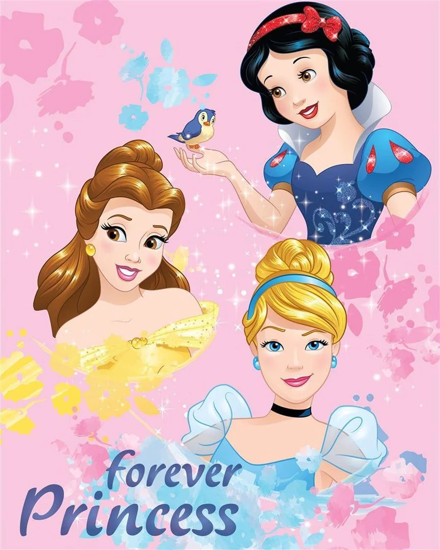 Φωτογραφία προϊόντος: DISNEY DIMcol ΚΟΥΒΕΡΤΑ FLEECE DISNEY PRINCESS 045 130Χ170 Digital Print