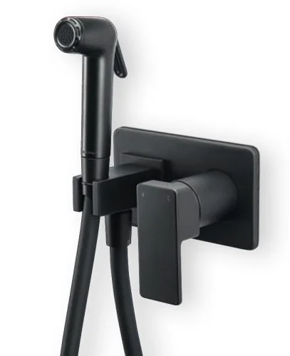 Φωτογραφία προϊόντος: Μπαταρία LA TORRE FLUSH MIX FROFILI 45211-400 black matt