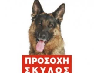 Φωτογραφία προϊόντος: Πινακίδα Pit bull έγχρωμη αλουμίνιο