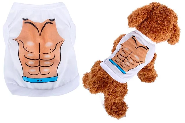 Φωτογραφία προϊόντος: Φανελάκι σκύλου Baywatch Large 35cm