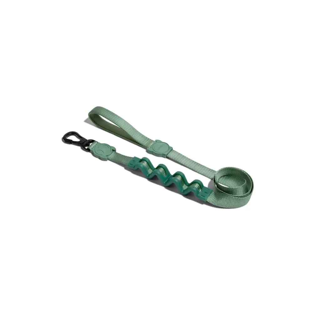 Φωτογραφία προϊόντος: ΟΔΗΓΟΣ ΣΚΥΛΩΝ ZEEDOG RUFF ARMY GREEN L 80cmX2,5cm