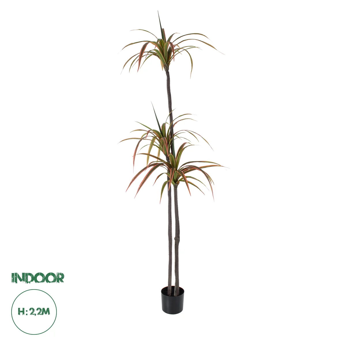 Φωτογραφία προϊόντος: GloboStar(R) Artificial Garden DRAGON BLOOD TREE 20371 Τεχνητό Διακοσμητικό Φυτό Δράκαινα Υ220cm - - 20371