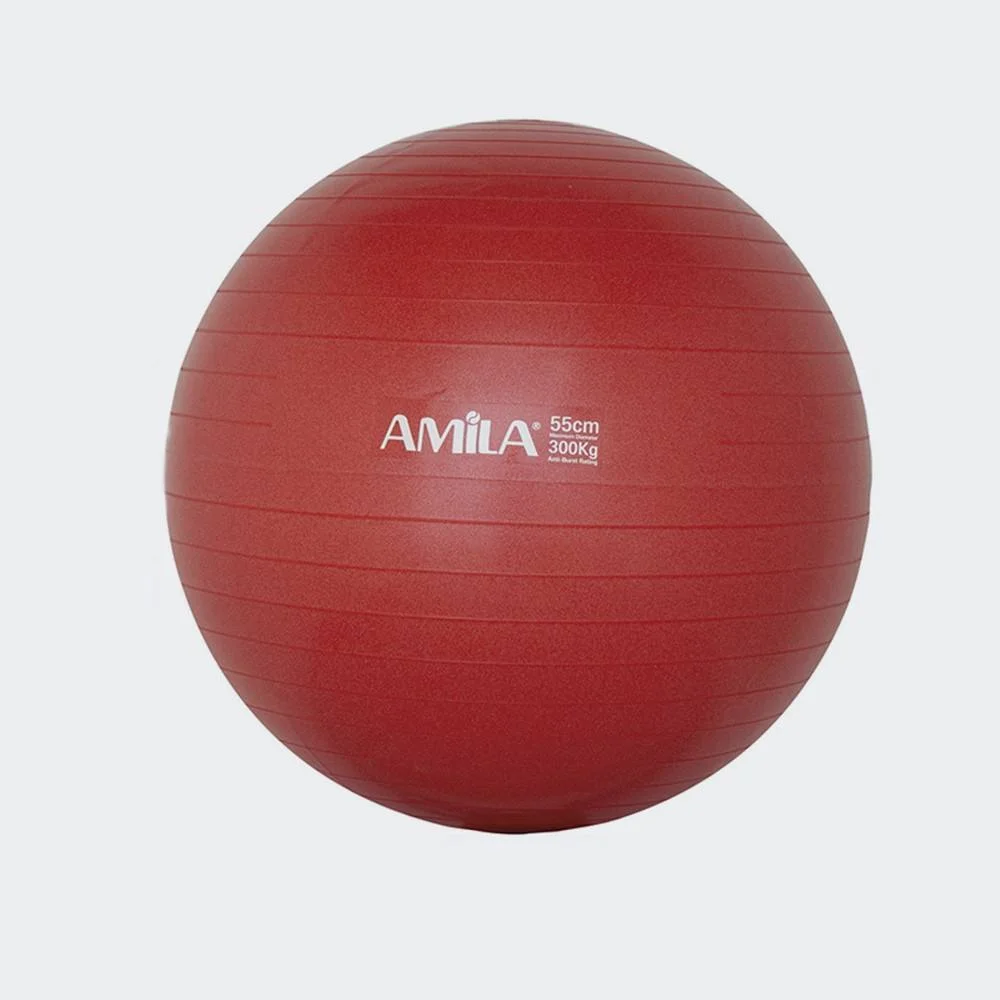 Φωτογραφία προϊόντος: AMILA ΜΠΑΛΑ ΓΥΜΝΑΣΤΙΚΗΣ GYMBALL 55cm - 95828