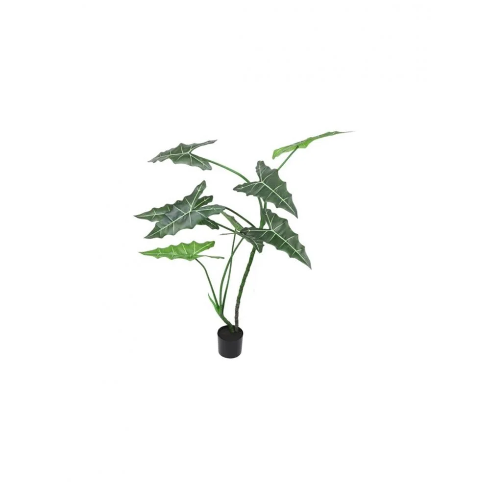Φωτογραφία προϊόντος: Plastona Alocasia σε κασπώ Φ120Η 170cm
