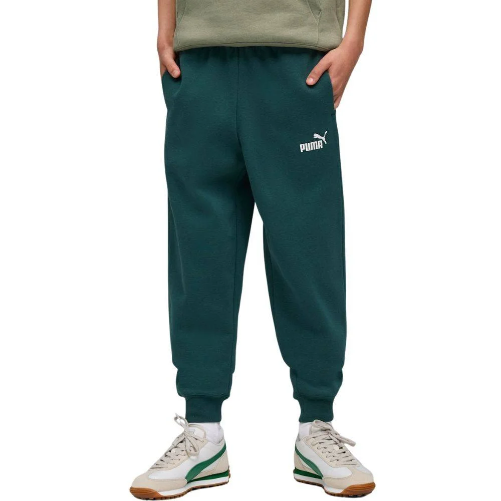 Φωτογραφία προϊόντος: 684912-75 - PUMA ESS NO. 1 LOGO SWEATPANTS FLEECE B GREEN Color