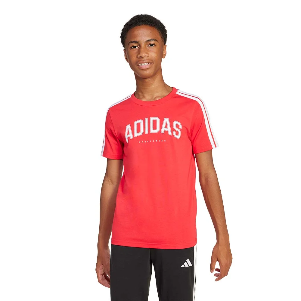 Φωτογραφία προϊόντος: adidas Sportswear Adidas Codes Collegiate Graphic T-Shirt