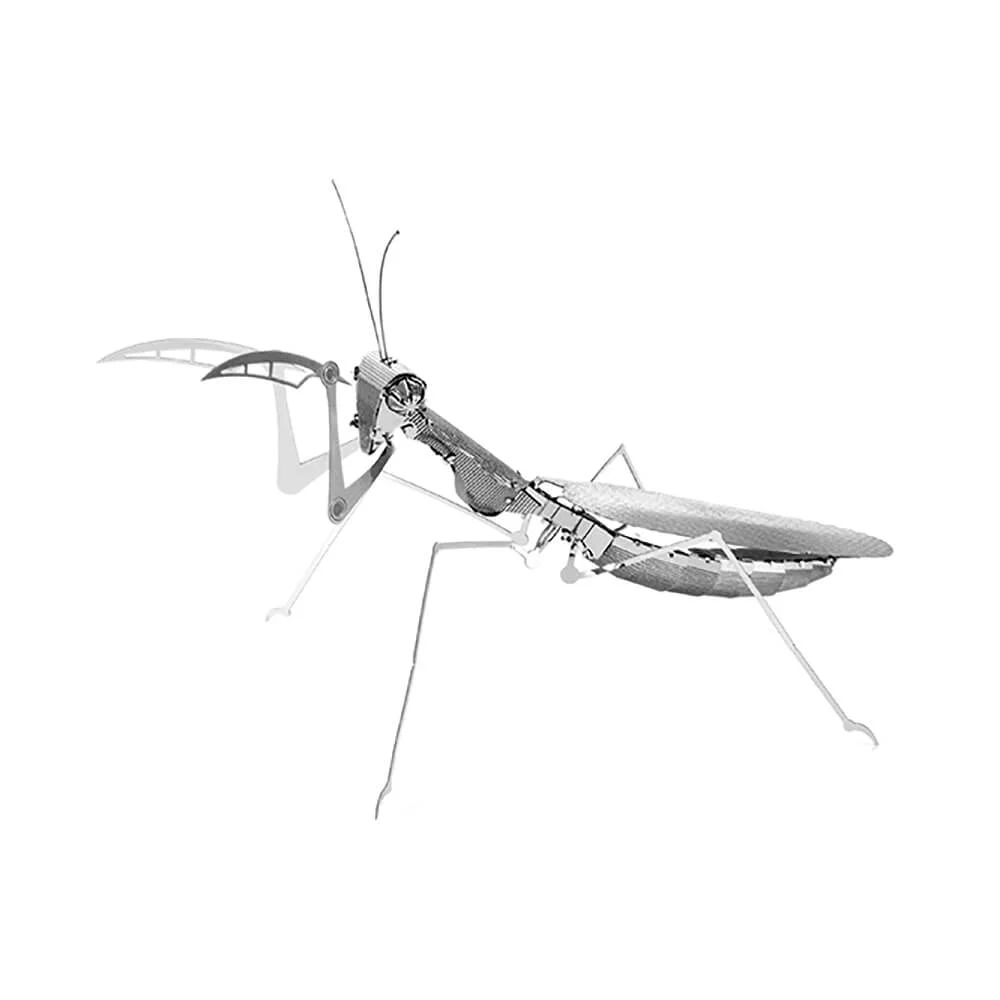 Φωτογραφία προϊόντος: Praying Mantis (1φ)