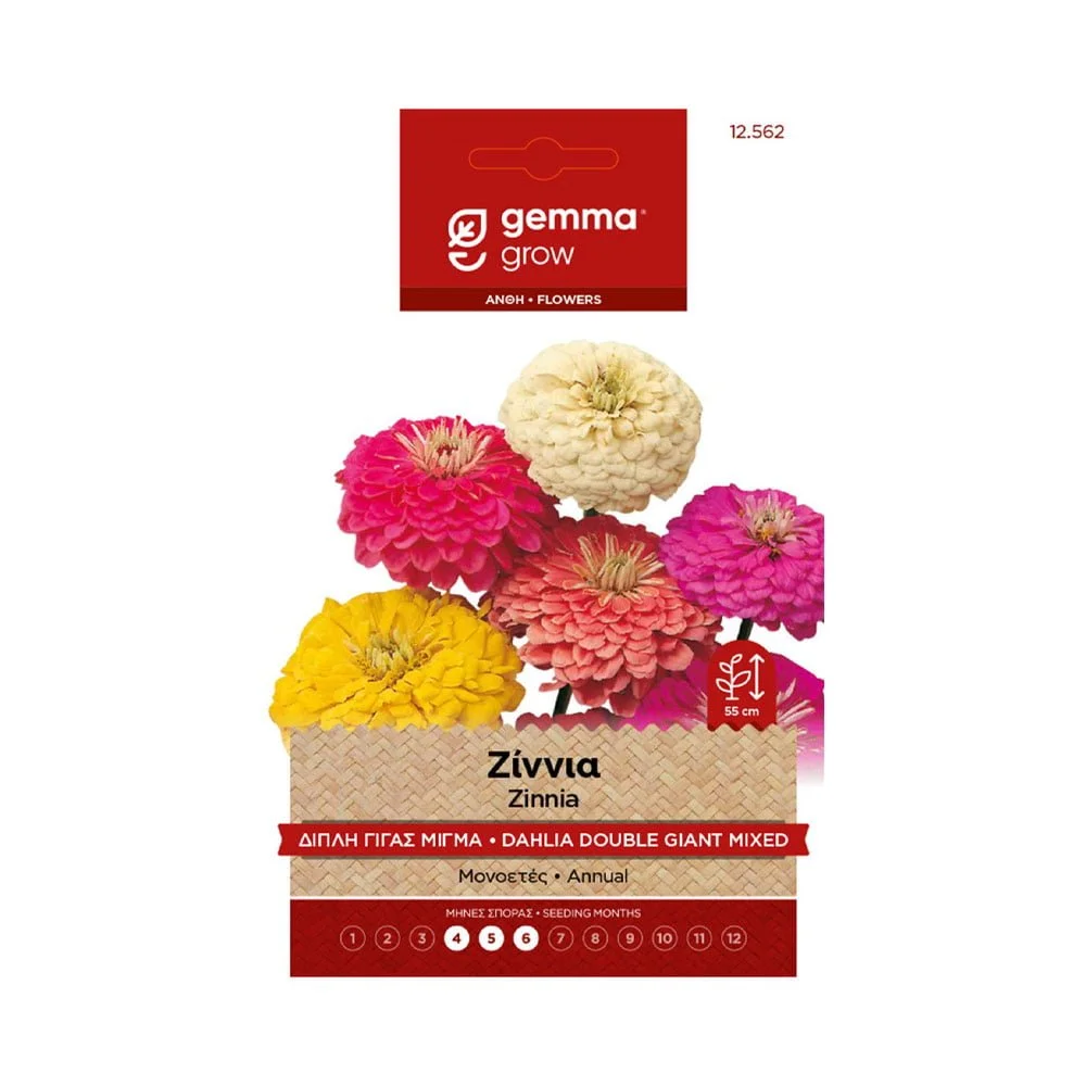 Φωτογραφία προϊόντος: Gemma Ζίνια Ντάλια Γίγας Διπλή Μίγμα - 12562