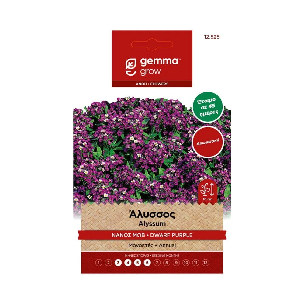 Φωτογραφία προϊόντος: Gemma Άλυσσος Νάνος Μώβ - 12525