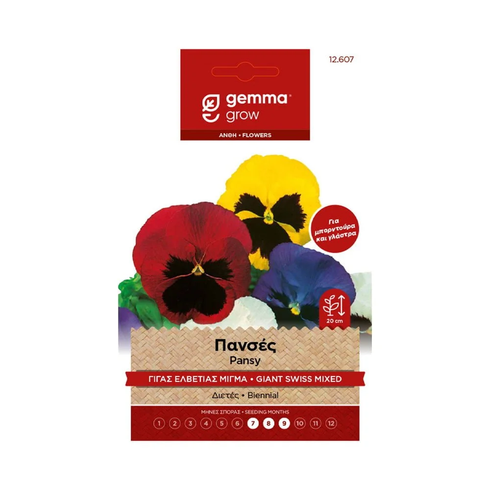 Φωτογραφία προϊόντος: Gemma Πανσές Γίγας Ελβετίας Μίγμα - 12607