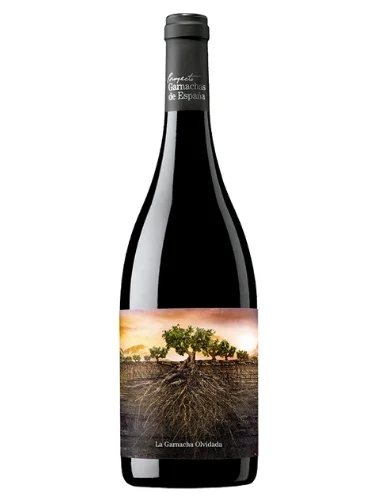 Φωτογραφία προϊόντος: La Garnacha Olvidada de Aragón Red 2018 750ml