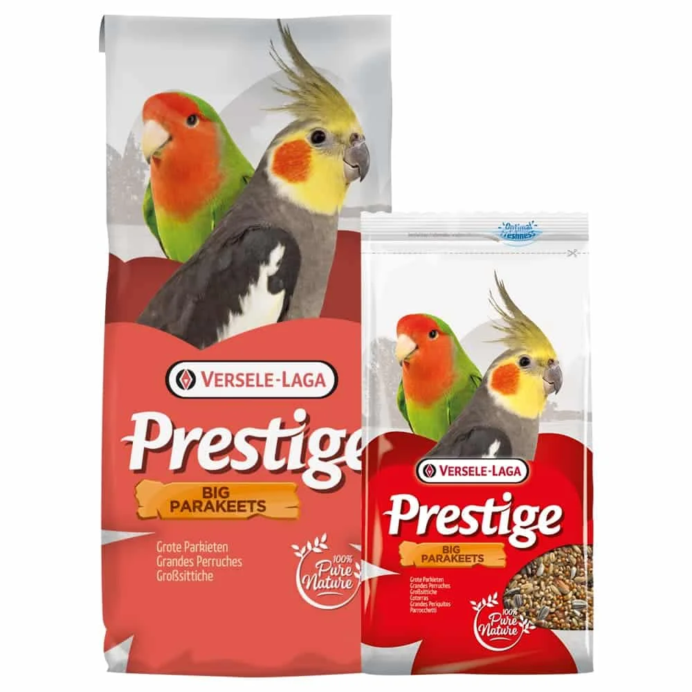 Φωτογραφία προϊόντος: Prestige Big Parakeets - Τροφή για Μεσαίους Παπαγάλους