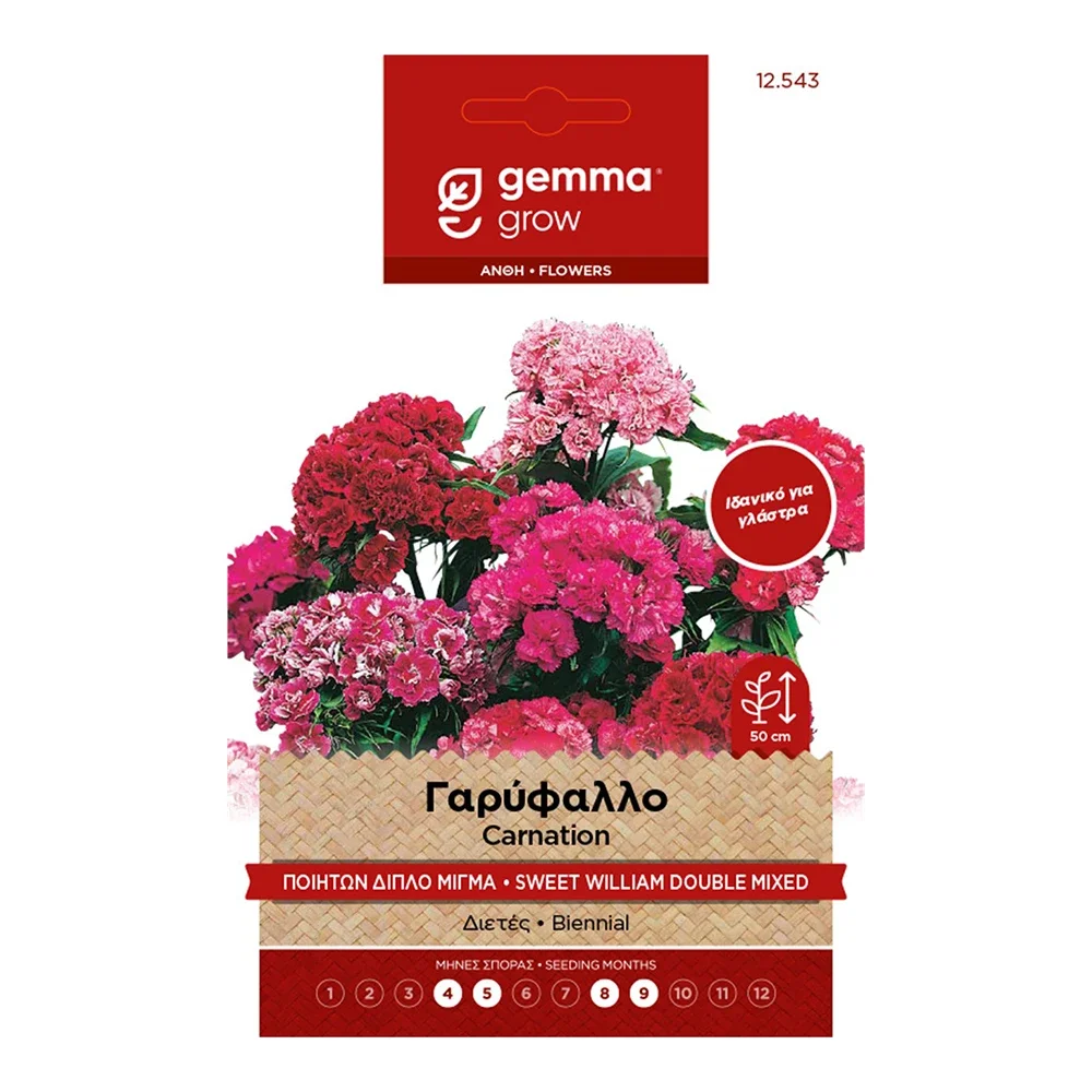 Φωτογραφία προϊόντος: Gemma Σπόρος Γαρύφαλλο Ποιητών Διπλό Μίγμα - 12543