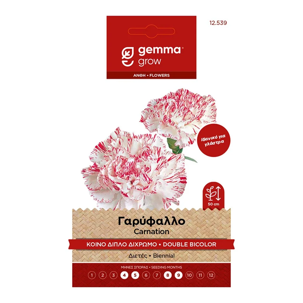 Φωτογραφία προϊόντος: Gemma Σπόρος Γαρύφαλλο Κοινό Διπλό Δίχρωμο - 12539