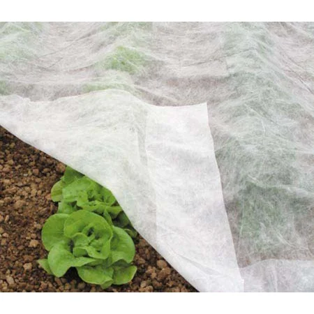 Φωτογραφία προϊόντος: πανί φλις(non woven) ανάπτυξης / παγετοπροστασίας 1,8X10m