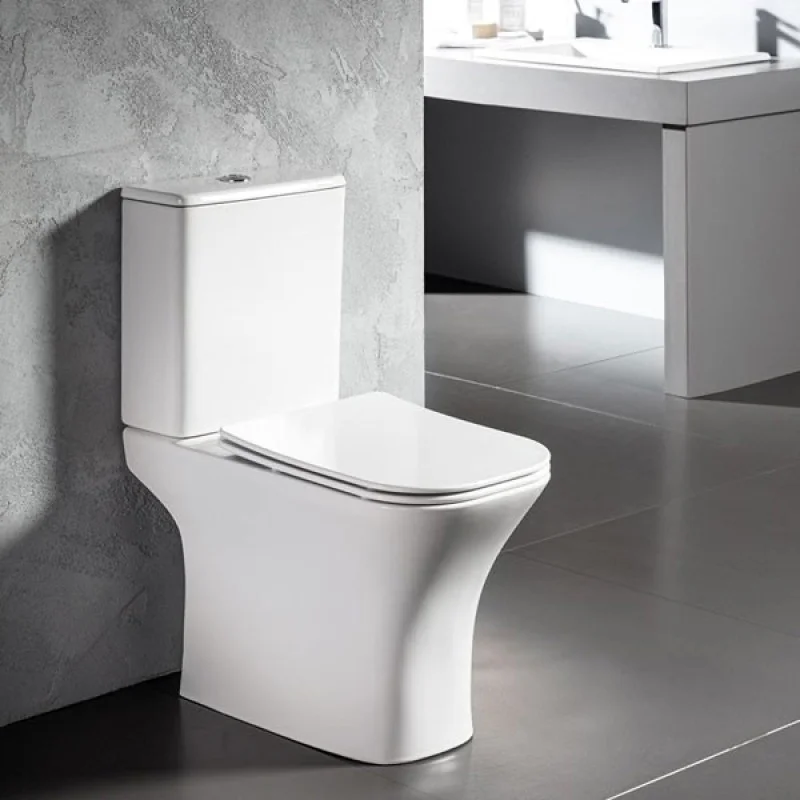 Φωτογραφία προϊόντος: Bianco Ceramica Delia Rimless SDL12000SC-300 Λεκάνη Χ.Π. Κατω σιφωνι Πληρης με Slim Soft Close Κάλυμμα 66.5cm