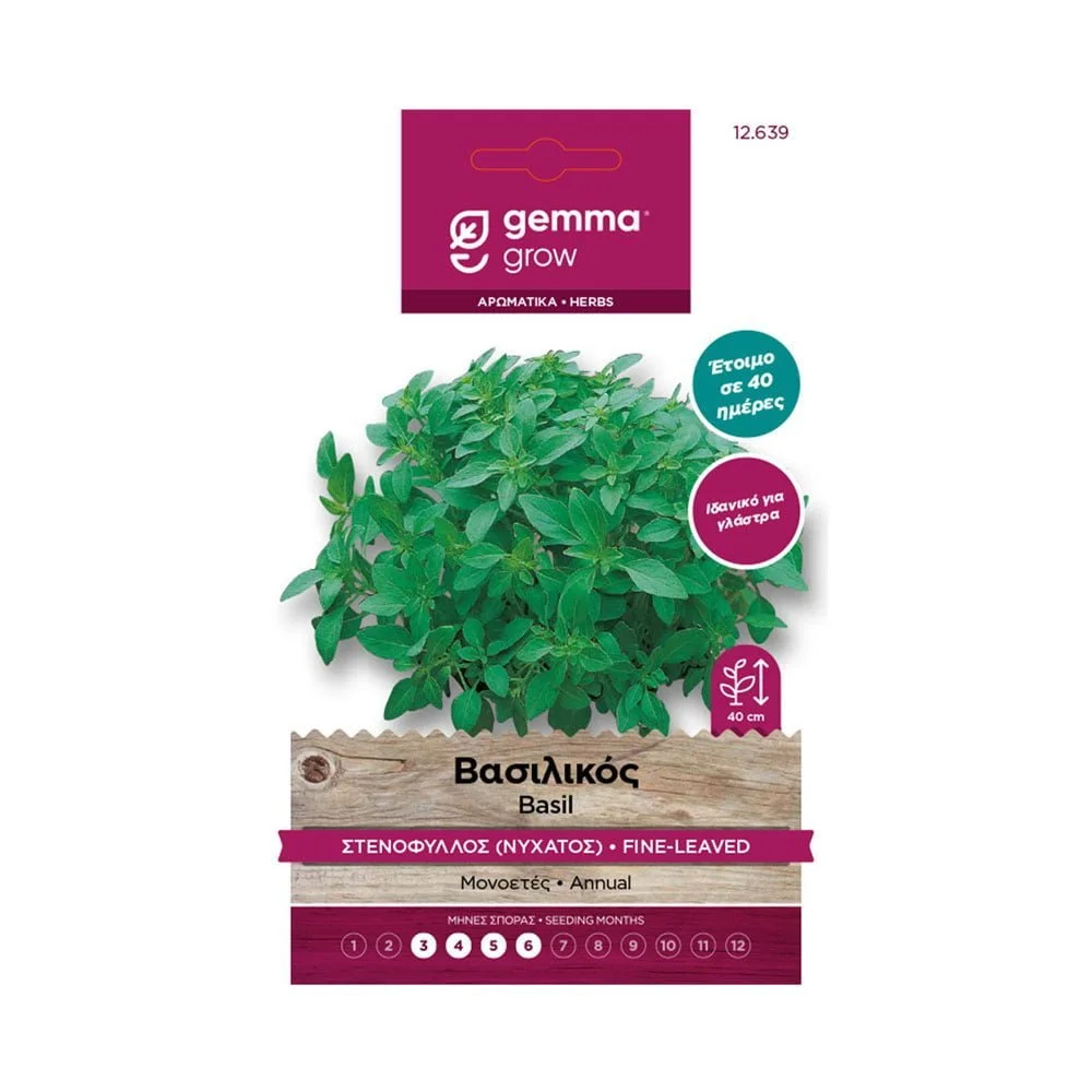 Φωτογραφία προϊόντος: Gemma Βασιλικός Ψιλόφυλλος - 12639