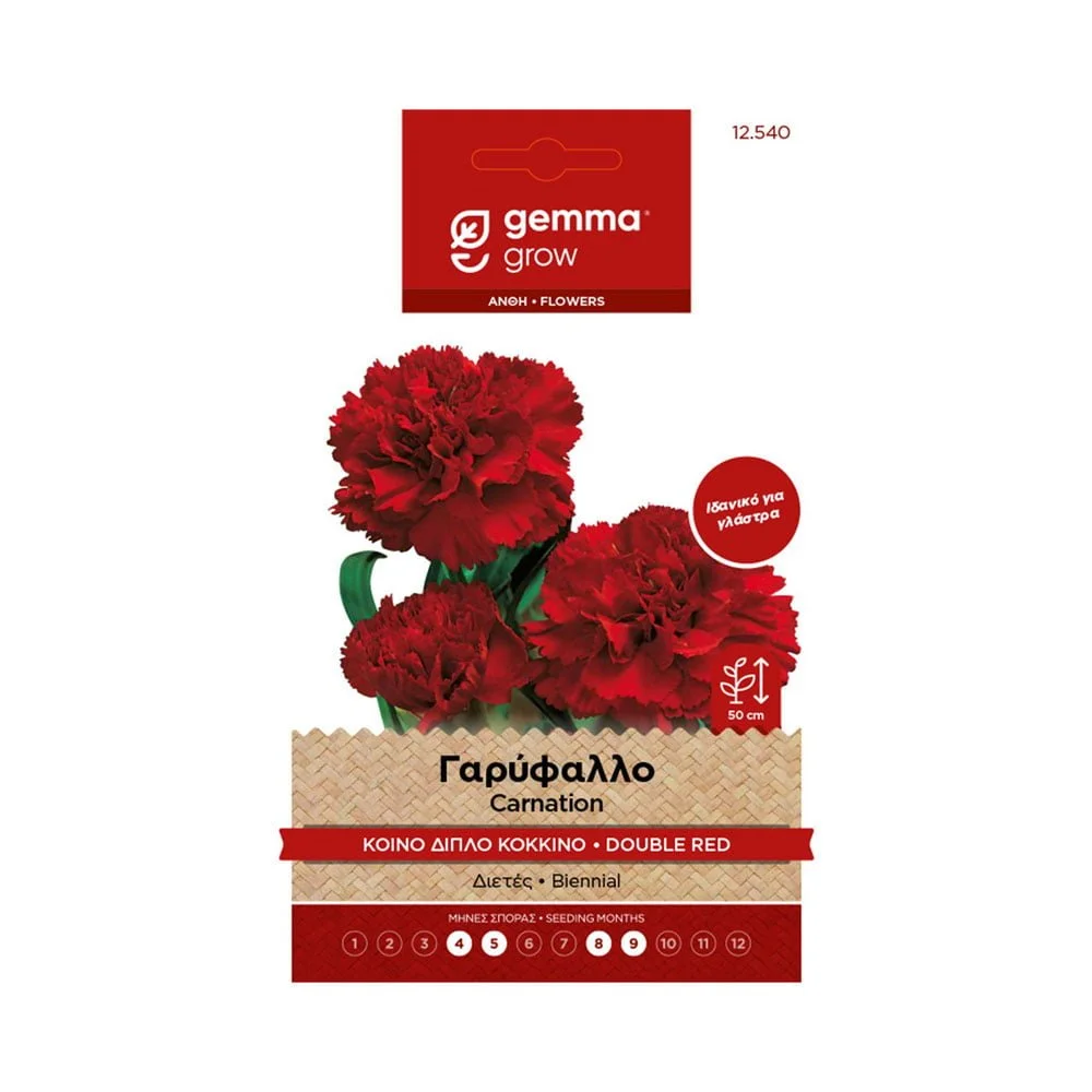 Φωτογραφία προϊόντος: Gemma Γαρύφαλλο Διπλό - 12540