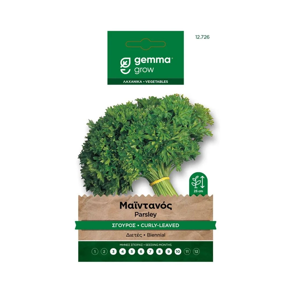 Φωτογραφία προϊόντος: Gemma Μαϊντανός Σγουρός - 12726