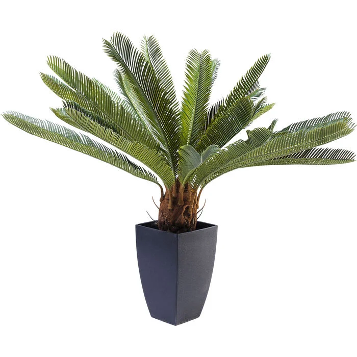 Φωτογραφία προϊόντος: KARE Διακοσμητικό Φυτό Cycas Tree Πράσινο 40x20x78 εκ. - Πράσινο - 40Μx20Πx78Υ