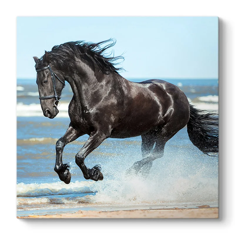 Φωτογραφία προϊόντος: Πίνακας σε καμβά "Black Horse" Megapap ψηφιακής εκτύπωσης 60x60x3εκ.