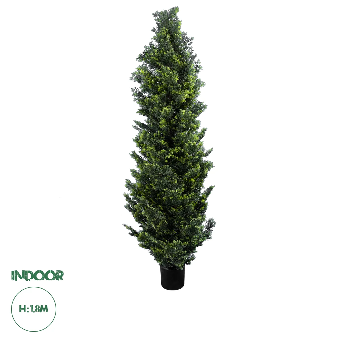 Φωτογραφία προϊόντος: GloboStar(R) Artificial Garden CYPRESSUS LEYLANDII 20156 Τεχνητό Διακοσμητικό Φυτό Κυπαρίσσι Λέιλαντ Υ180cm - - 20156