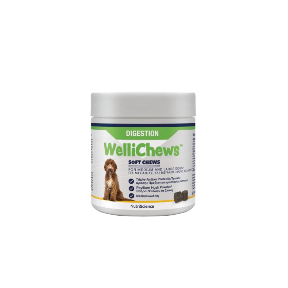 Φωτογραφία προϊόντος: WelliChew Digestion Soft Chews Πρεβιοτικά Σκύλου 60tabs
