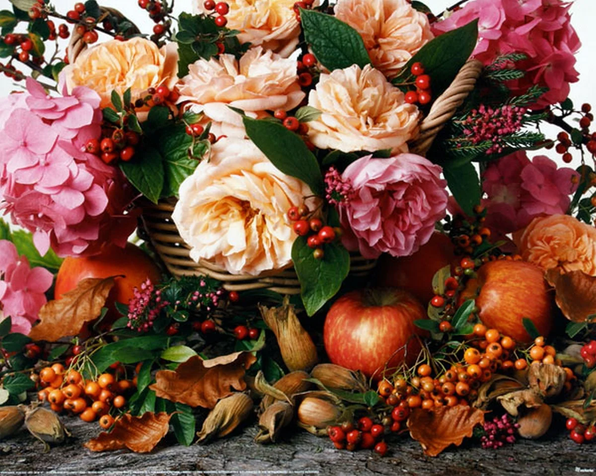 Φωτογραφία προϊόντος: OEM Poster Roses +amp; Nuts 40 X 50εκ
