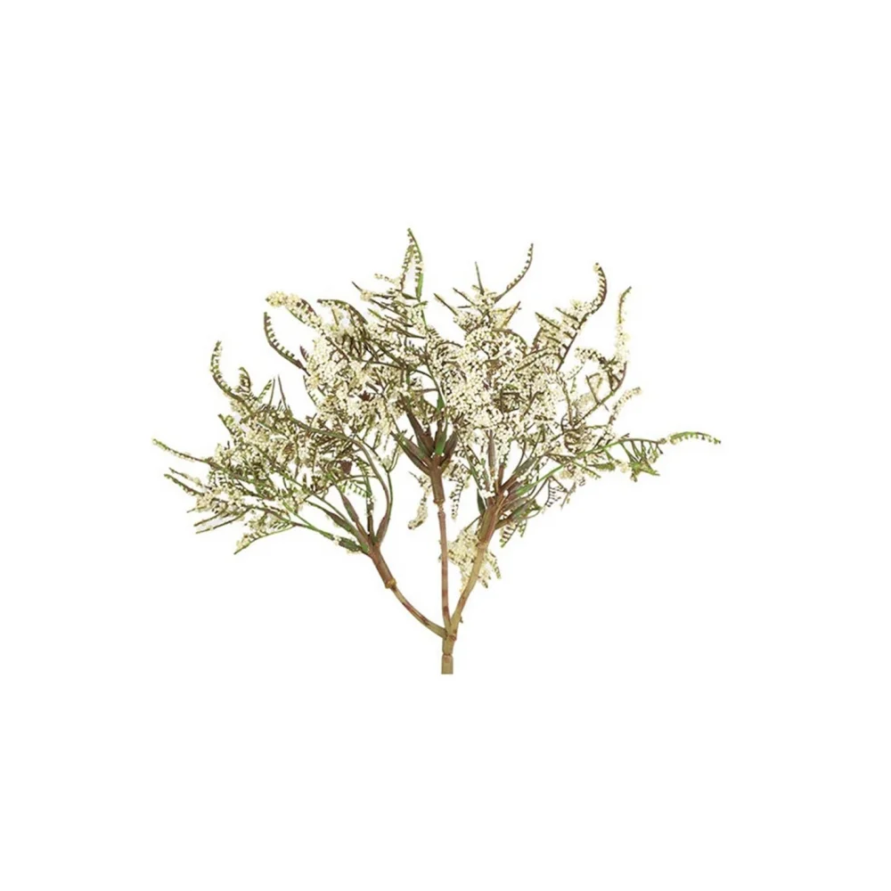 Φωτογραφία προϊόντος: Plastona Limonium εκρού κλαδί 41εκ.