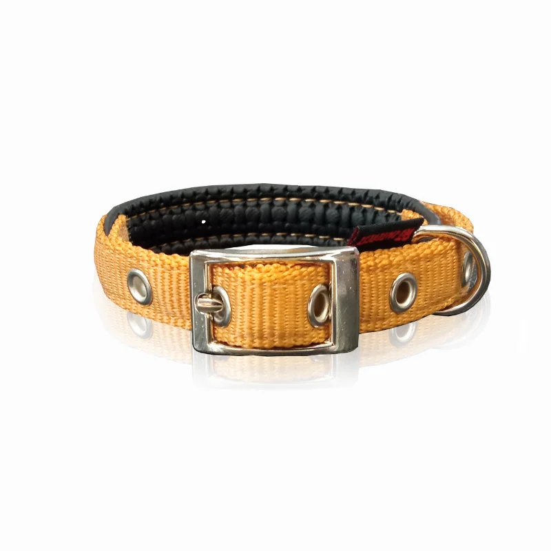 Φωτογραφία προϊόντος: Pet Interest Κολάρο Σκύλου - Dog Collar Neoprene Metal Buc || Gold Small 1,6 x 40cm