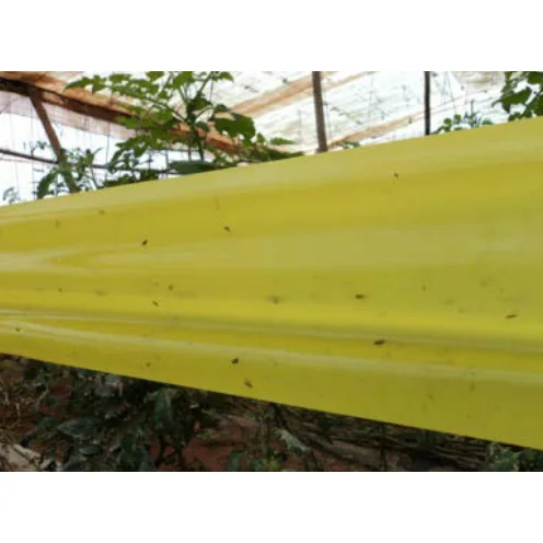 Φωτογραφία προϊόντος: GLUE ROLL κίτρινη παγίδα κόλλας – ταινία παγίδευσης εντόμων – 50m