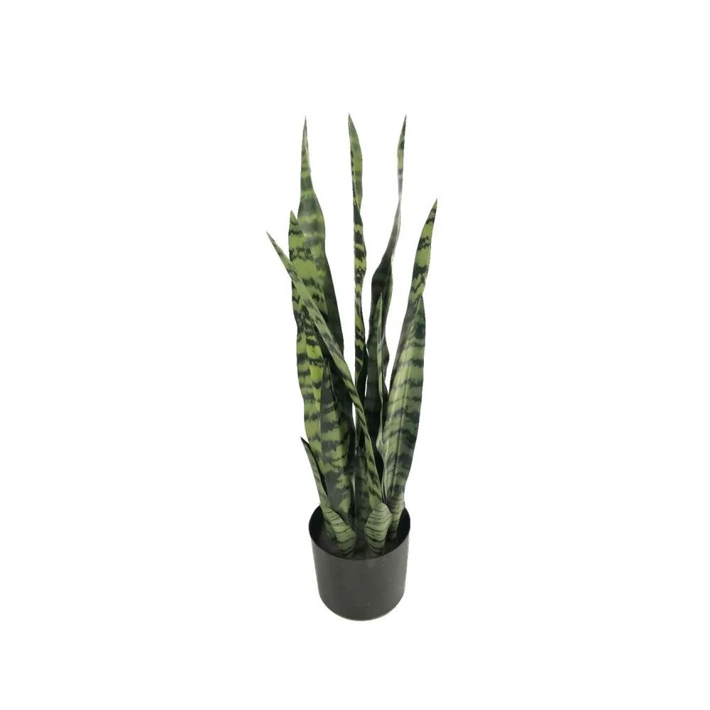 Φωτογραφία προϊόντος: Plastona Sanseveria σε κασπώ Φ16Η68cm