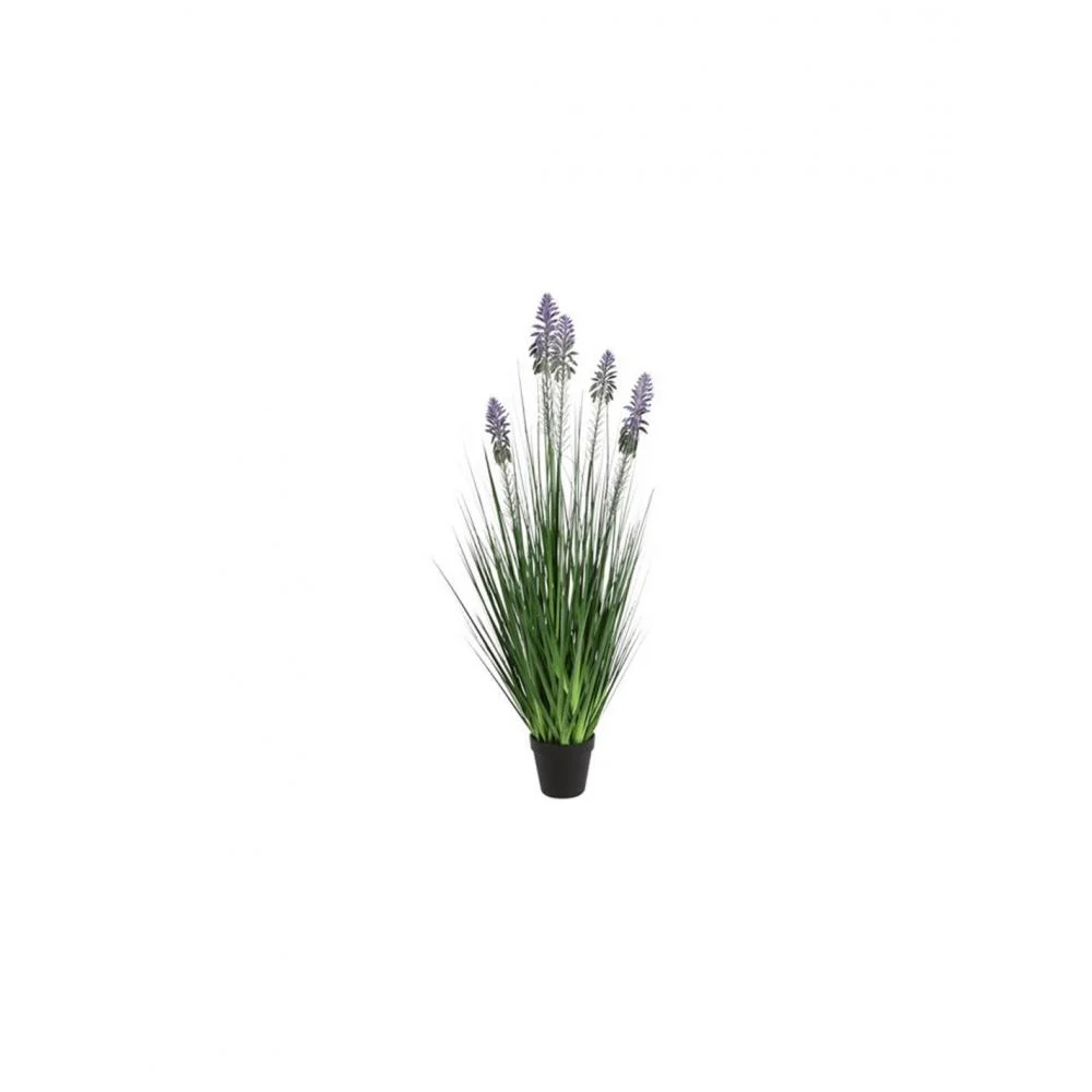 Φωτογραφία προϊόντος: Plastona Neobartsia λιλά σε κασπώ 90εκ.
