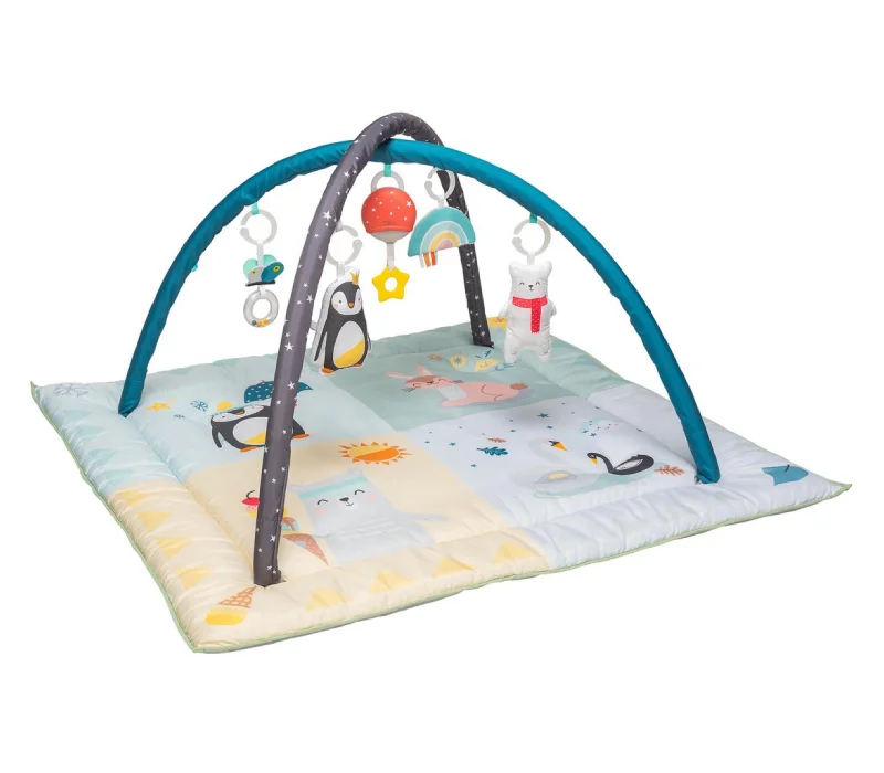 Φωτογραφία προϊόντος: Taf Toys North Pole 4 Βρεφικό γυμναστήριο