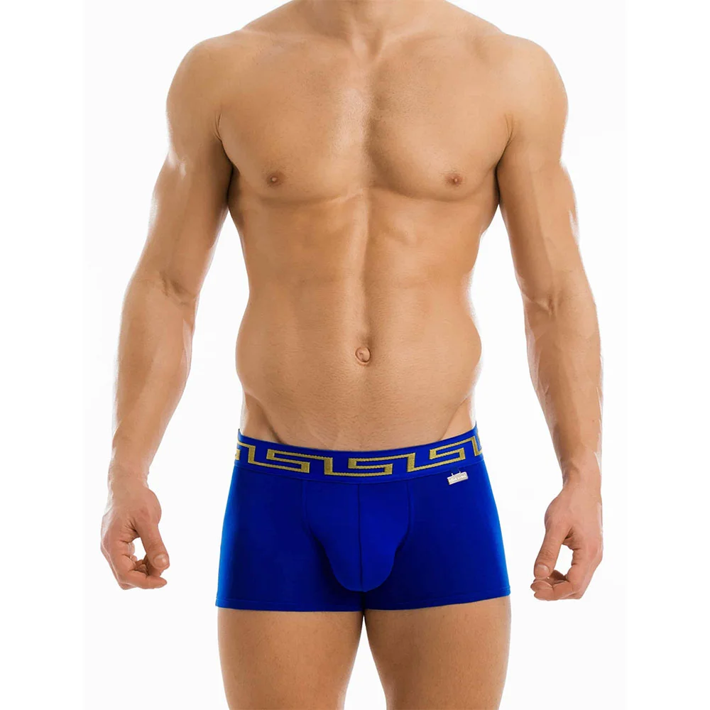 Φωτογραφία προϊόντος: Ανδρικό Meander Boxer Modus Vivendi 11621_blue Μπλε