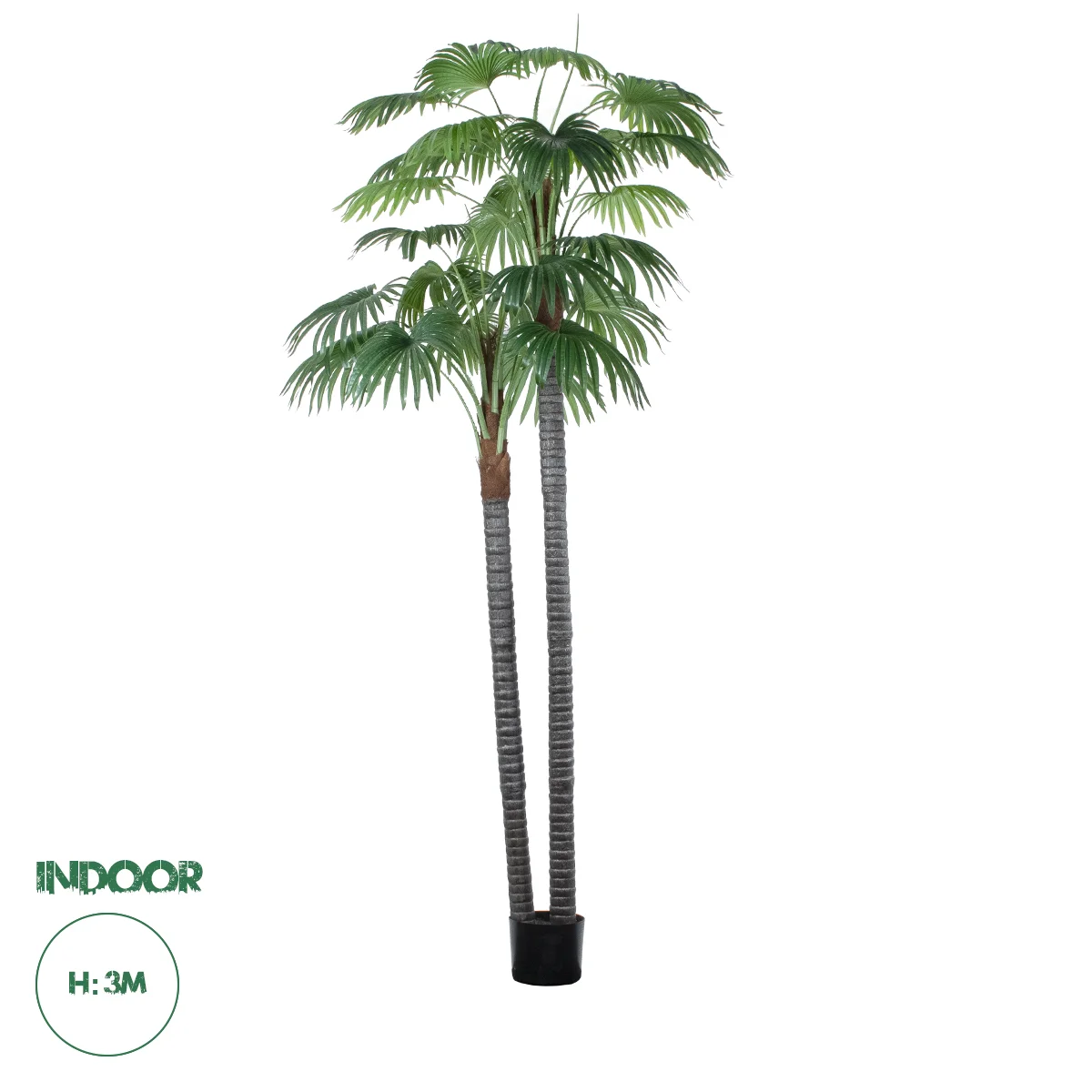 Φωτογραφία προϊόντος: GloboStar(R) Artificial Garden PALM TREE 20086 Τεχνητό Διακοσμητικό Φυτό Φοινικόδεντρο Βεντάλια Υ300cm - - 20086