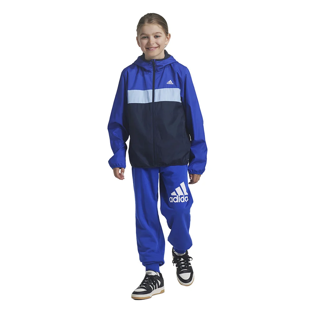 Φωτογραφία προϊόντος: Adidas Sportswear Adidas Big Logo Pants