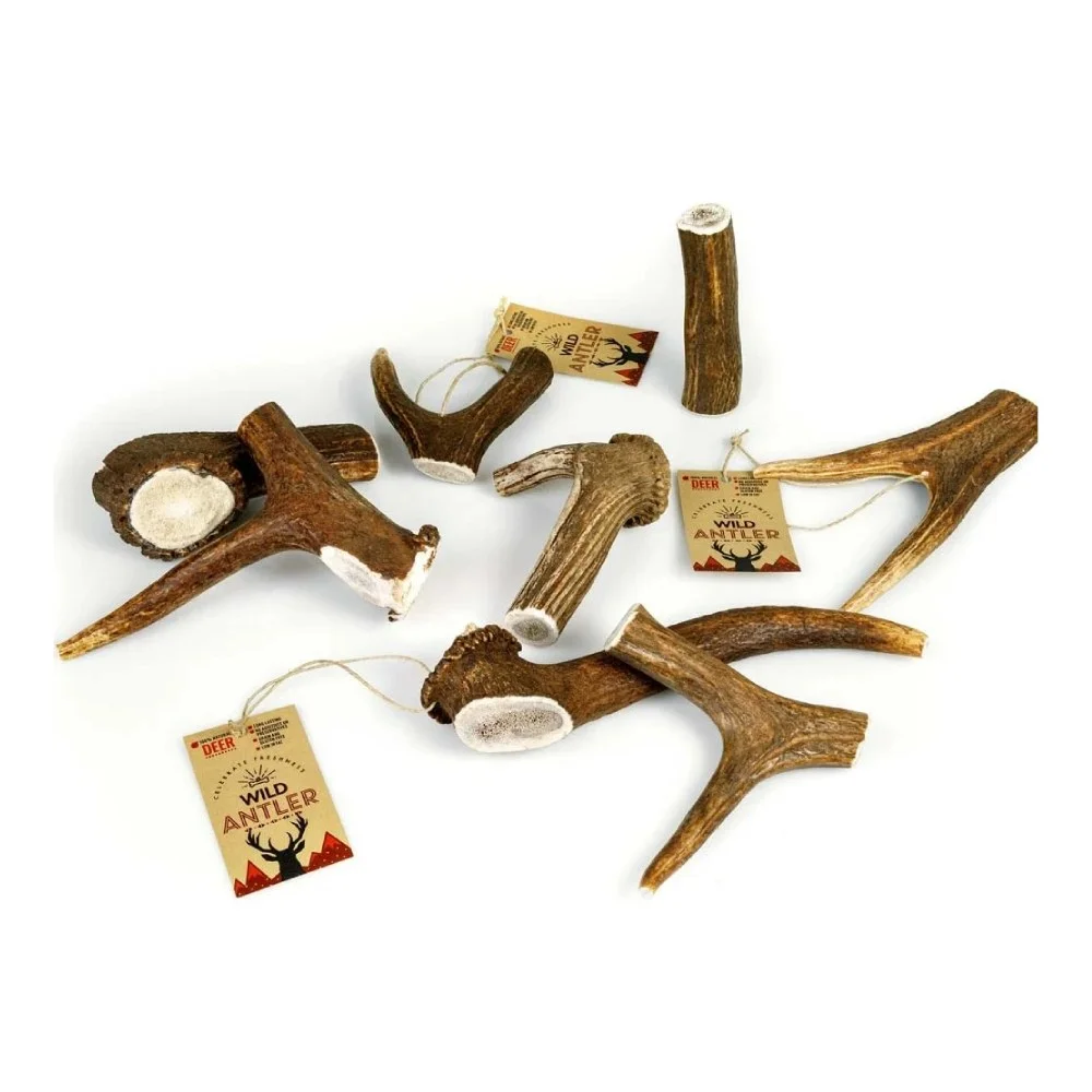 Φωτογραφία προϊόντος: Celebrate Freshness Celebrate Κέρατο Ελαφιού Red Deer Antler Large 85-125gr