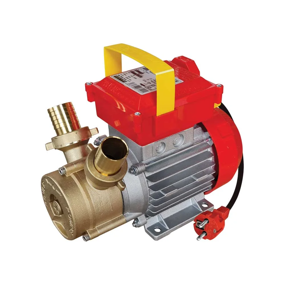 Φωτογραφία προϊόντος: ΗΛΕΚΤΡΑΝΤΛΙΑ ROVER 30 CE 1HP 2850rpm