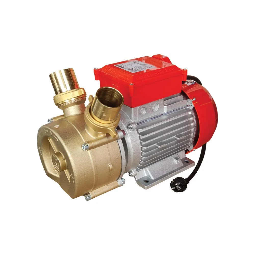 Φωτογραφία προϊόντος: ΗΛΕΚΤΡΑΝΤΛΙΑ ROVER BE-M 50 3HP 1450rpm 220V