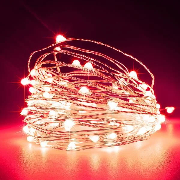 Φωτογραφία προϊόντος: Eurolamp 100 Mini LED Σταθερό Με Μετασχηματιστή Προέκταση 500cm Ασημί Χαλκός Κόκκινο Φως IP44