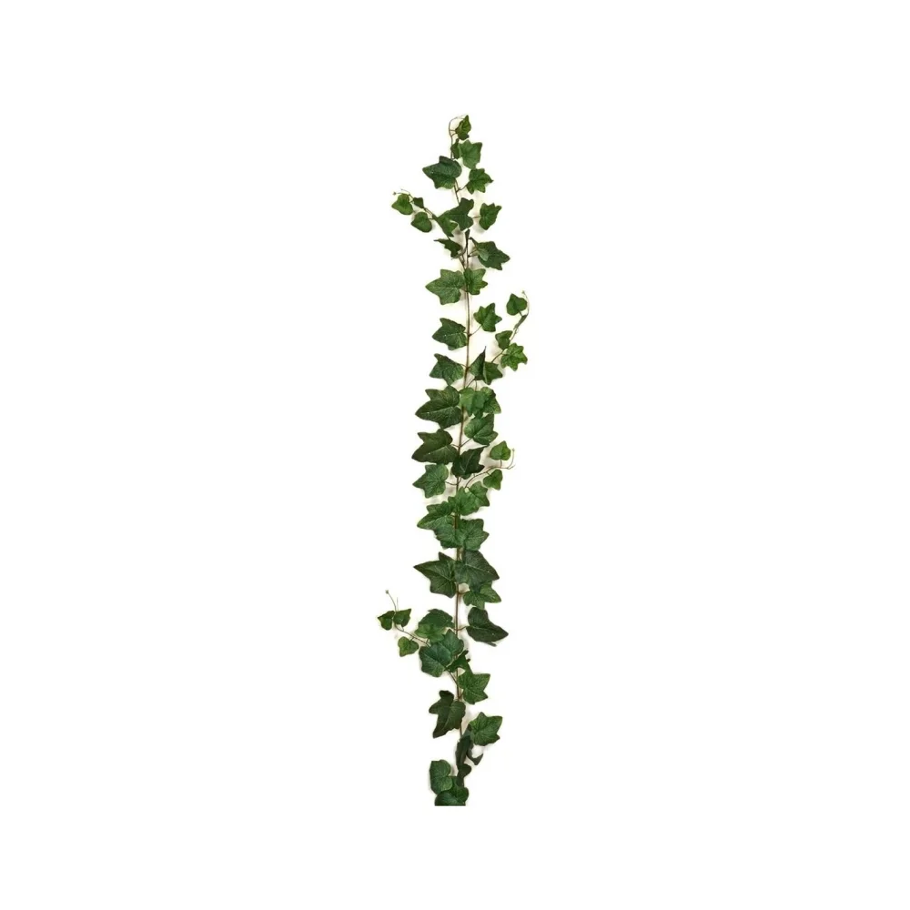 Φωτογραφία προϊόντος: Plastona ΓIPΛANTA KIΣΣOΣ H 180cm