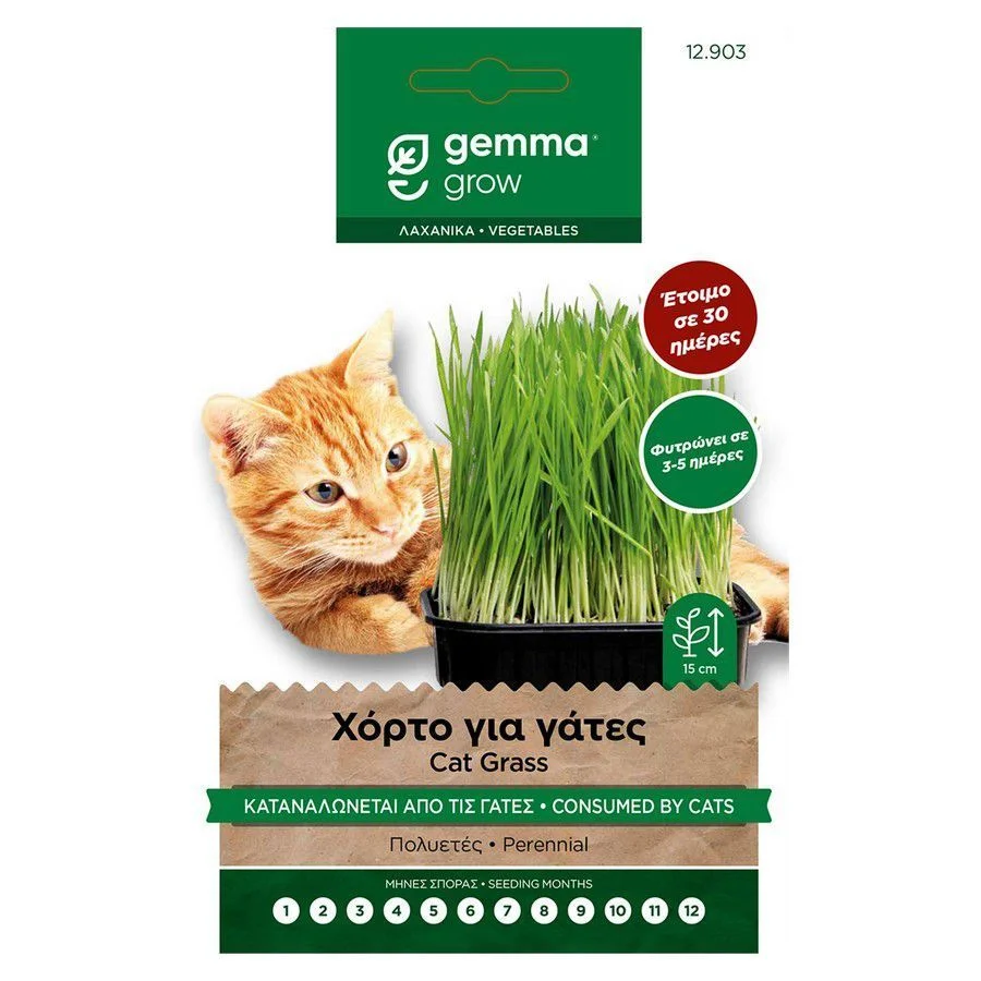 Φωτογραφία προϊόντος: Χόρτο για γάτες GEMMA σπόροι σε φακελάκι